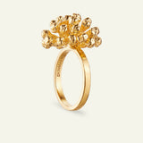 Dillblomst, Statement Ring Forgylt