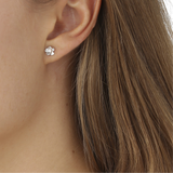 Forglemmigej Små Ørestikkere Sølv