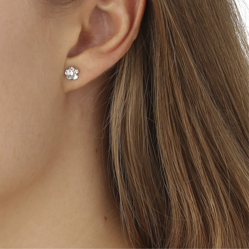 Forglemmigej Små Ørestikkere Sølv