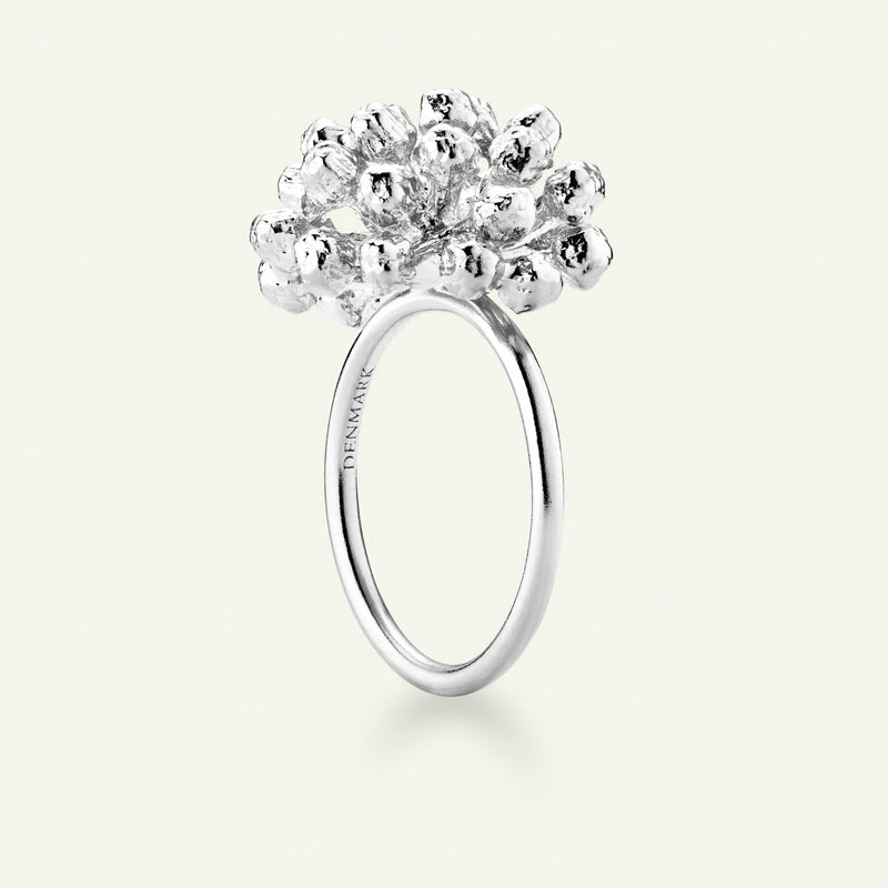 Dild Statement Ring Sølv