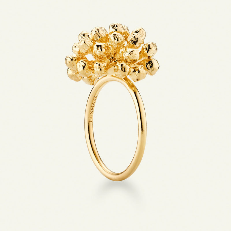 Dild Statement Ring Forgyldt