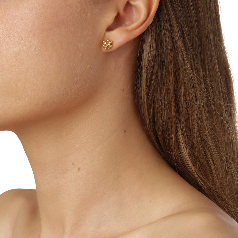 Dild Ørestikkere forgyldt