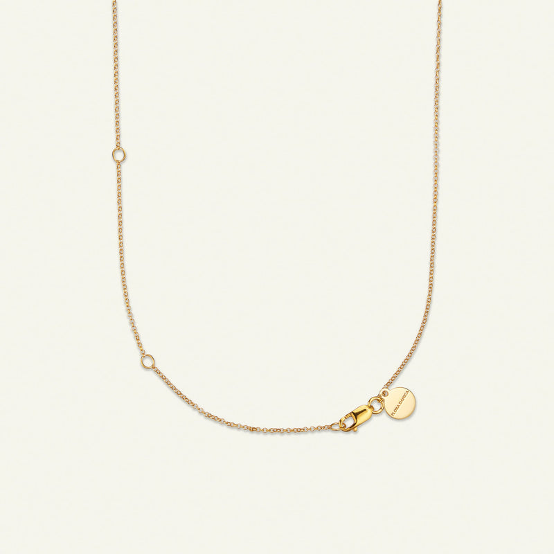 Rose halskæde med vedhæng og diamant, forgyldt