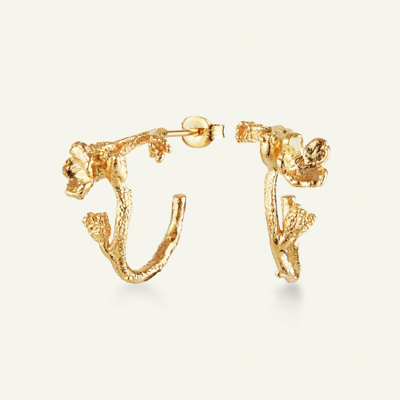 Forglemmigej Hoop øreringe forgyldt