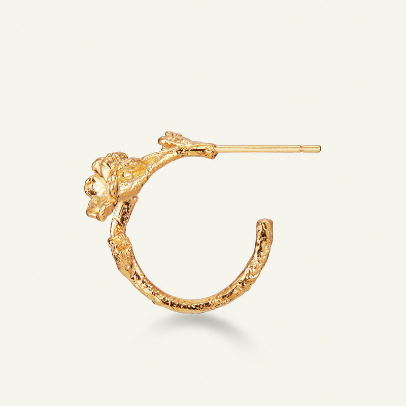 Forglemmigej Hoop øreringe forgyldt